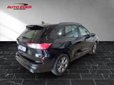 Ford Kuga ST-Line leichter Hagelschaden Sportpaket - Ford mit Benzin-Antrieb: Hagelschaden