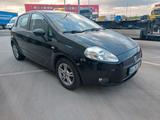 Fiat Punto 1.3 Multijet- 6 gang - Fiat Punto mit Diesel-Antrieb: 1.3