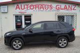 Toyota RAV 4 Hybrid 4x4 Team Deutschland 1.HD*Standheiz - Toyota RAV 4: De