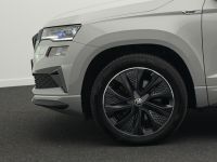 Skoda Karoq - Vorschau Bild 17