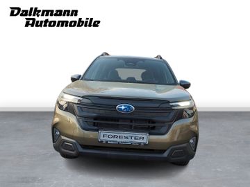 Bild 8 Subaru Forester AWD Hybrid Kamera ACC CarPlay SHZ