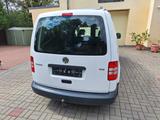 Volkswagen Caddy Maxi 1.6 TDI Camper Solar 88tsd km TÜV neu - Kastenwagen