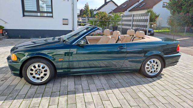 BMW 323Ci - Cabrio - Vollleder