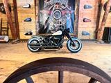 Harley-Davidson SOFTAIL SLIM 103cui, ABS