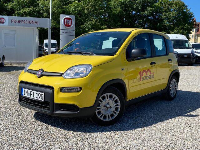 Fiat Panda Base