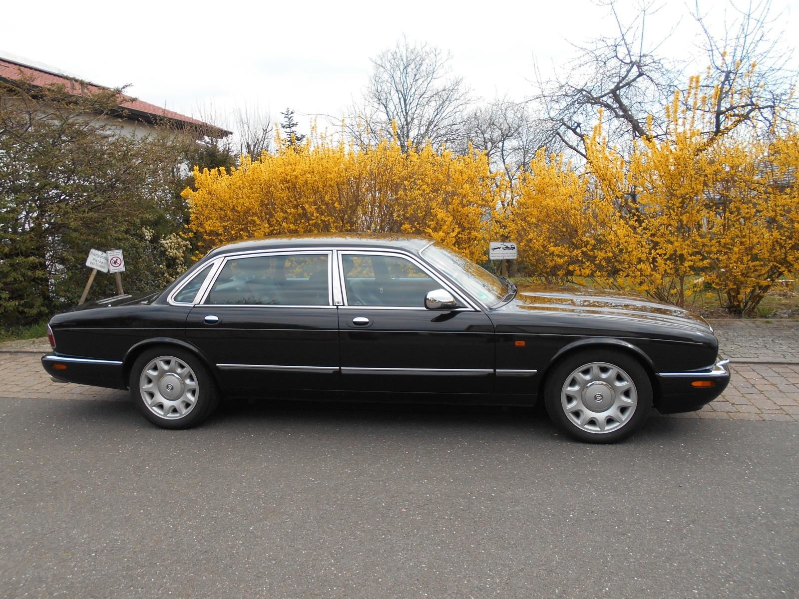 Jaguar Daimler - LWB