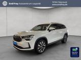 Skoda Kodiaq 1.5 TSI iV DSG Selection AHK - Skoda Kodiaq mit Hybrid-Antrieb