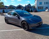 Tesla Model 3 Perf. - 8-fach 20"  - Scheibenfolierung