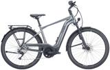 Pegasus Premio EVO ABS L (28 Zoll) - Pegasus E-Bikes