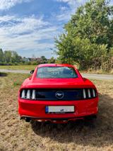 Ford Mustang 2.3 EcoBoost|317 PS|Unfallfrei - Ford Mustang: Ecoboost