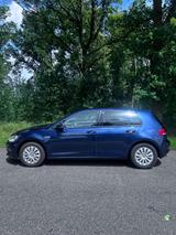 Volkswagen Golf 7 1.6 TDI wenig KM, PDC, AHK, TÜV 09/27 - Volkswagen Golf: 7 TDI