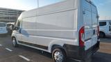 Fiat Ducato - Fiat Ducato Neuwagen