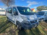 Fiat Ducato Kombi 30 115 L1H1 RS: 3000 mm - Fiat Ducato: Van