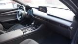 Mazda 3 2.5L e-SKYACTIV G 140ps 6AT FWD Homura - Mazda 3 in Oldenburg