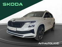 Skoda Karoq - Vorschau Bild 1