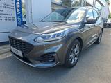 Ford Kuga ST Line AHK 1.8To , 1. Hdn. NAVI RFK - Ford Kuga aus 2022