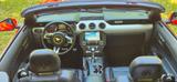 Ford Mustang 5.0 V8 Cabrio  Performance Package - Ford Mustang: Performance