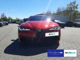 Alfa Romeo Giulia Quadrifoglio V6 AT8 - Alfa Romeo Giulia in Berlin