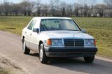 Mercedes-Benz Mercedes W124 250D Turbodiesel - Mercedes-Benz 250: W124 D