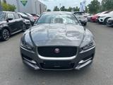 Jaguar XE R-Sport AWD - graue Jaguar XE