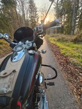 Yamaha XVS650 Dragstar  mit Zubehör - Offers matching your search criteria
