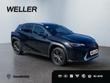 Lexus UX 250h Amazing Edition *Bi-LED*ACC*CAM*CarPlay* - Lexus UX aus 2020