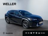 Lexus UX 250h Amazing Edition *Bi-LED*ACC*CAM*CarPlay* - Lexus UX Gebrauchtwagen