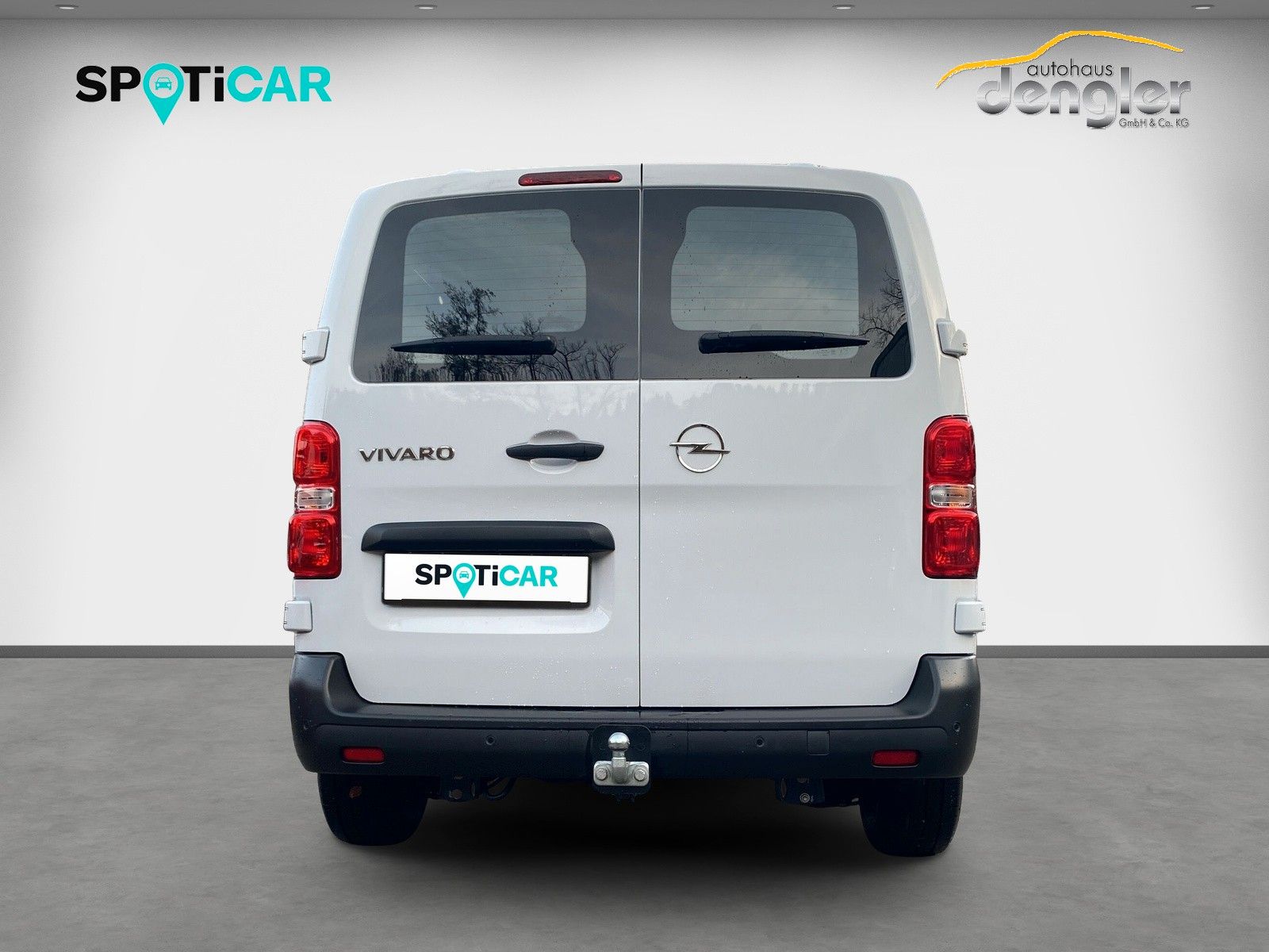 Fahrzeugabbildung Opel Vivaro Kasten Edition M