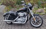 Harley-Davidson Sportster XL 883 XL883 Super Low - Offers matching your search criteria