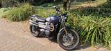 Triumph Street Scrambler 900 Gold Line Edition - TRIUMPH STREET SCRAMBLER