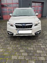 Subaru Forester 2.0D Exclusive 1.Hd 4x4 Pano SHZ  - gebrauchte Subaru Forester aus dem Jahr 2016