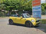 MINI COOPER_S Cabrio Chili 1,6 16V Klimaautomatik - MINI MINI aus 2009: Cabrio