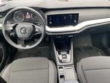 Skoda Octavia 1.0 TSI DSG Ambition*Einparkhilfe*LED - Skoda aus 2023