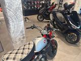 Honda Monkey 125 2026 *sofort verfügbar* - Offers