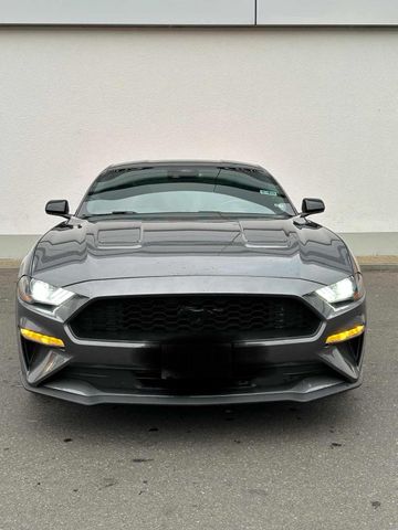 Ford Mustang, Rio 2023