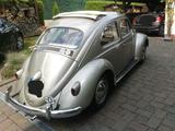 Volkswagen VW Käfer Faltdach - Volkswagen: Faltdach
