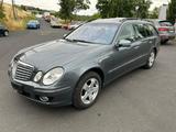 Mercedes-Benz E 230 E -Klasse T-Modell E 230 T - Mercedes-Benz mit LPG-Antrieb: Klasse