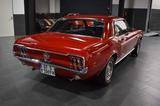 Ford Mustang  - Ford Mustang in Bielefeld