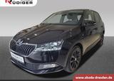 Skoda FABIA DRIVE 1.0 TSI PANO-DACH RFK SmartLink - Skoda Fabia Gebrauchtwagen in Dresden