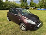 Ford Ka Titanium - Günstig, sparsam, gut gewartet! - : Kleinwagen, Günstig