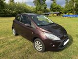 Ford Ka Titanium - Günstig, sparsam, gut gewartet! - Ford: Günstig