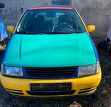 Volkswagen Original VW Polo Harlekin Rot - Volkswagen Polo: Harlekin