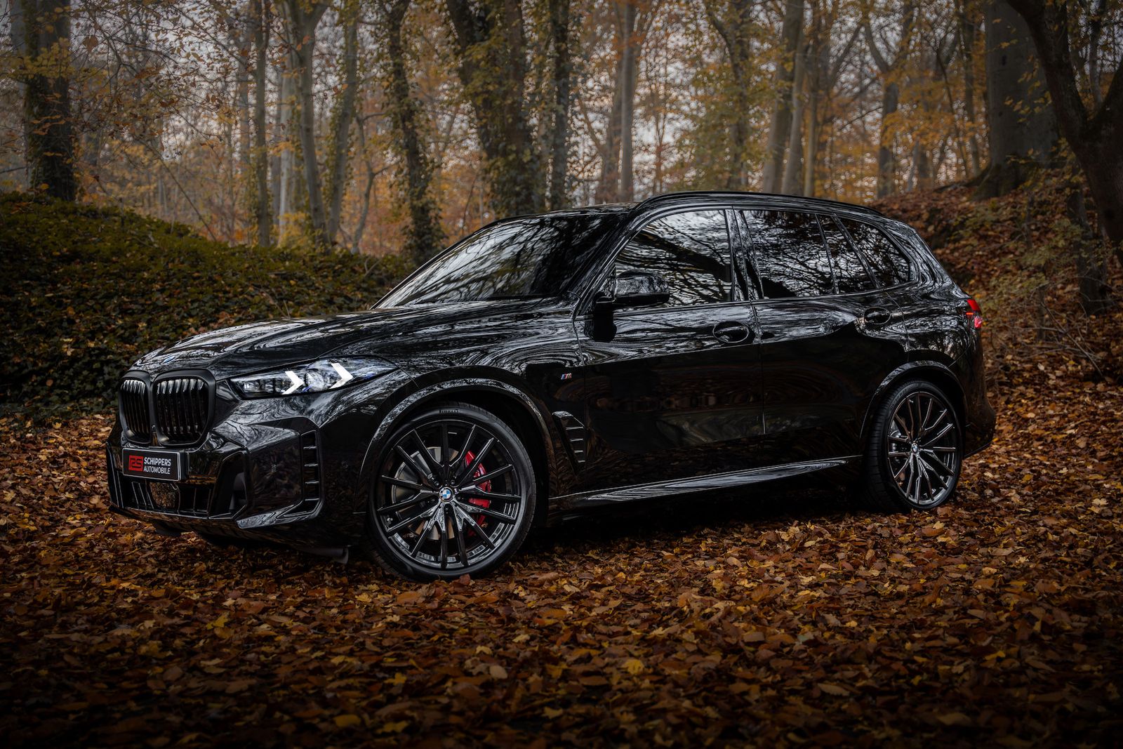 Fahrzeugabbildung BMW X5 40d xDrive M-SPORT PRO|AHK|CARBON|LUFT|ICONIC