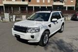 Land Rover LAND ROVER Freelander 2.2 SD4 S.W. SE - Land Rover Freelander SE mit Diesel-Antrieb