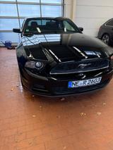 Ford Mustang 2.3 - Ford Mustang Gebrauchtwagen in Köln