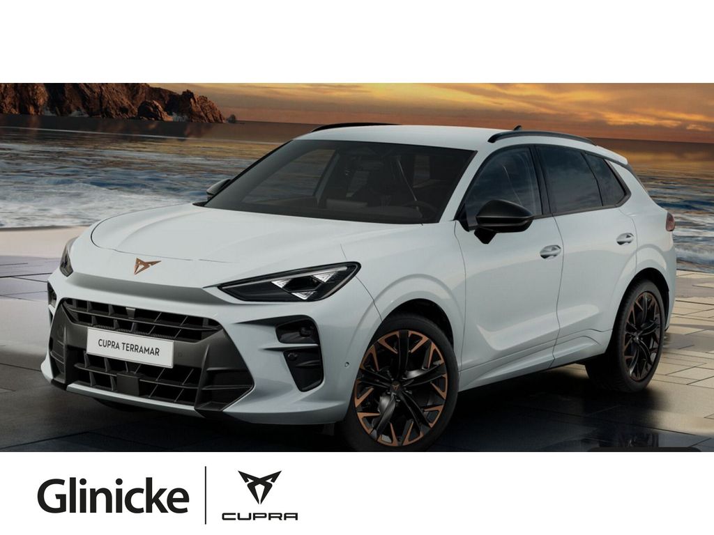 Terramar VZ 2.0 TSI 195 kW DSG 4Drive AHK Sennhe