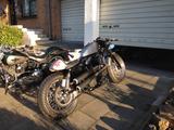 Harley-Davidson  Forty-Eight Sportster XL 1200 - HARLEY-DAVIDSON NAKED BIKE