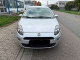 Fiat Punto TÜV 04/26 1.2 - Fiat Punto Gebrauchtwagen in Mannheim
