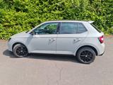 Skoda Fabia 1.0l TSI 81kW MONTE CARLO MONTE CARLO - Skoda Fabia von privat