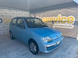 Fiat Seicento 1.1benzina - gebrauchte Fiat Seicento aus dem Jahr 2003